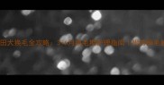 秋田犬换毛全攻略3-6月换毛期护理指南附防掉毛妙招