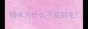猫咪为什么不能剃毛