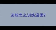边牧怎么训练温柔