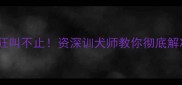 哈士奇30天狂叫不止资深训犬师教你彻底解决吠叫问题