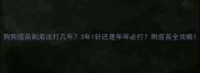 狗狗疫苗到底该打几年3年1针还是年年必打附疫苗全攻略