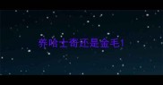 养哈士奇还是金毛