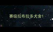 赛级拉布拉多犬舍