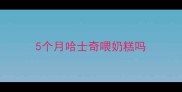 5个月哈士奇喂奶糕吗