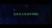 边牧多大吃成年狗粮