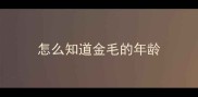 怎么知道金毛的年龄
