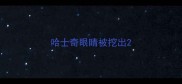 哈士奇眼睛被挖出