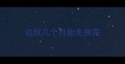 边牧几个月胎毛换完