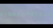 哈士奇脱毛太严重了怎么办