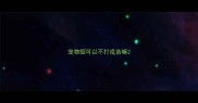 宠物貂可以不打疫苗嘛