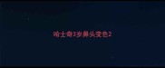 哈士奇3岁鼻头变色