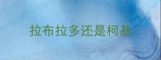 拉布拉多还是柯基