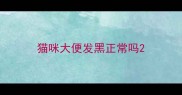 猫咪大便发黑正常吗