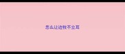 怎么让边牧不立耳