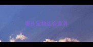 哪些宠物适合家养