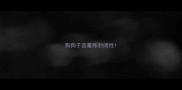 狗狗子宫蓄脓封闭性