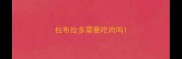 拉布拉多需要吃肉吗