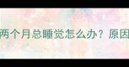 边境牧羊犬幼犬两个月总睡觉怎么办原因及科学养护指南