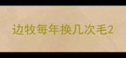 边牧每年换几次毛