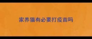家养猫有必要打疫苗吗