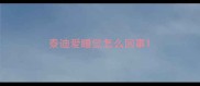泰迪爱睡觉怎么回事