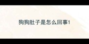 狗狗肚子是怎么回事
