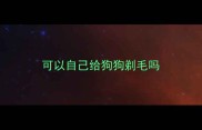可以自己给狗狗剃毛吗