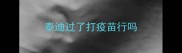 泰迪过了打疫苗行吗