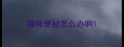 猫咪便秘怎么办啊