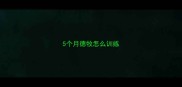 5个月德牧怎么训练