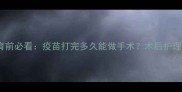 宠物绝育前必看疫苗打完多久能做手术术后护理全攻略