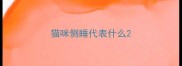 猫咪侧睡代表什么