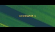 句容宠物店狗博士