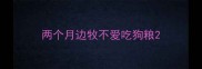 两个月边牧不爱吃狗粮
