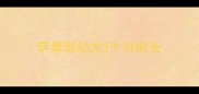 萨摩耶幼犬3个月前长