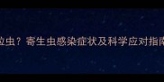 2个月大幼猫频繁拉虫寄生虫感染症状及科学应对指南附预防方法