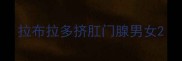 拉布拉多挤肛门腺男女