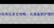 如何帮朋友寄养拉布拉多全攻略从准备到护理的20个关键细节