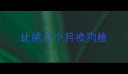 比熊几个月换狗粮