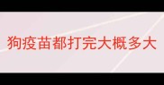狗疫苗都打完大概多大