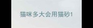 猫咪多大会用猫砂