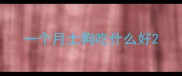 一个月土狗吃什么好