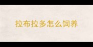 拉布拉多怎么饲养