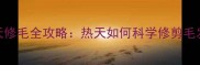 边牧夏天修毛全攻略热天如何科学修剪毛发防中暑