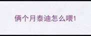 俩个月泰迪怎么喂
