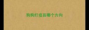 狗狗打疫苗哪个方向