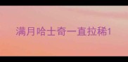 满月哈士奇一直拉稀