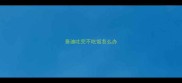 泰迪吐完不吃饭怎么办