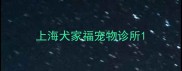 上海犬家福宠物诊所