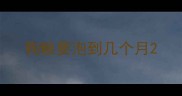 狗粮要泡到几个月
